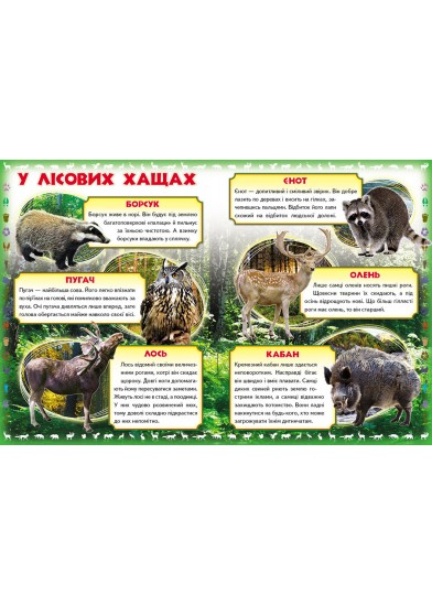 Моя перша книга. Про диких тварин99999