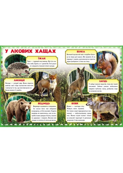Моя перша книга. Про диких тварин99999